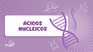 Ácidos nucleicos