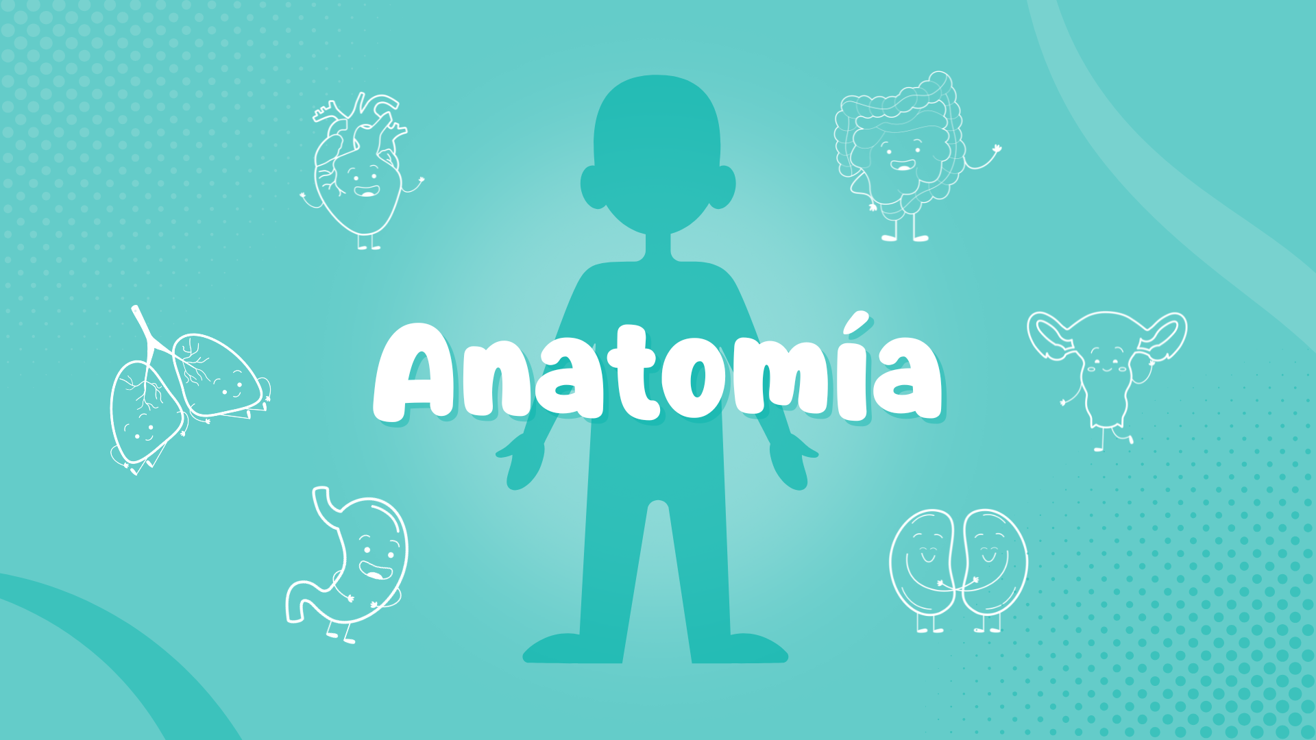 Anatomía