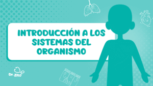 Introducción a los sistemas corporales